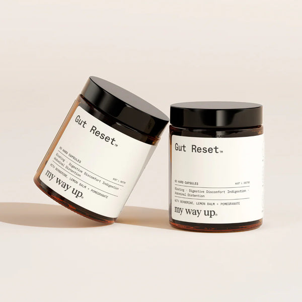 My Way Up - Gut Reset