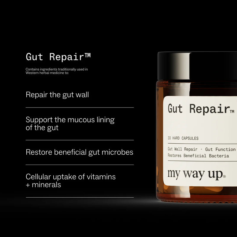 My Way Up - Gut Repair