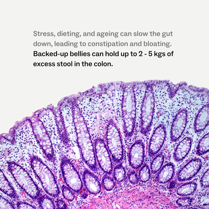 My Way Up - Debloat Detox
