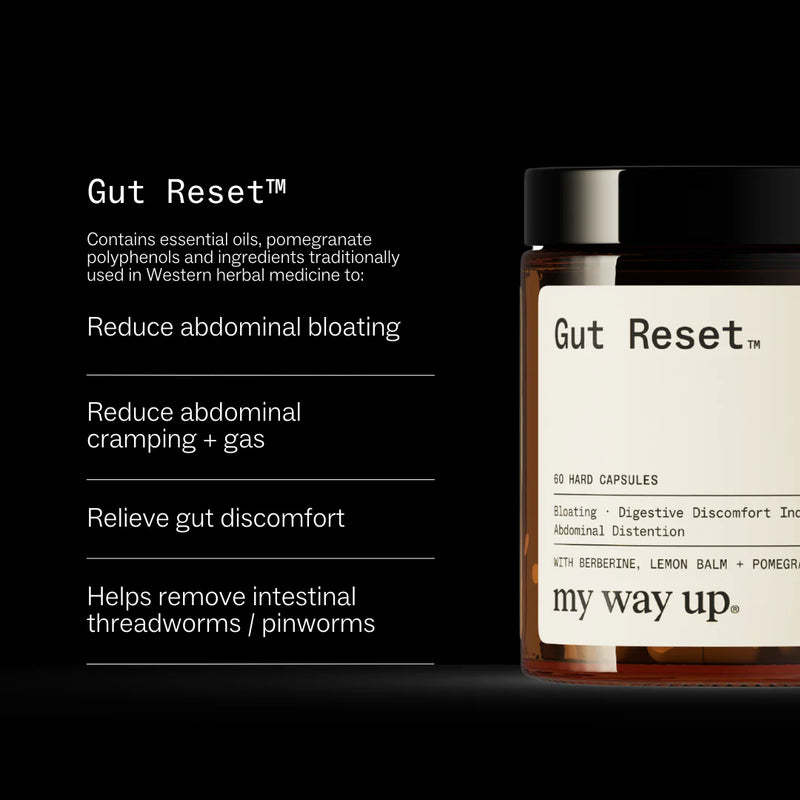 My Way Up - Gut Reset