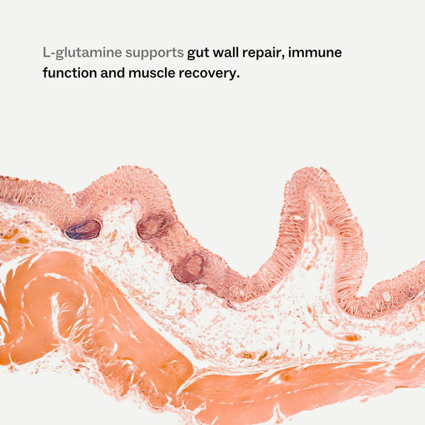 My Way Up - Clean Glutamine (L-Glutamine)
