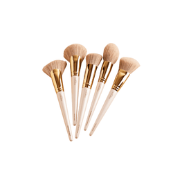 Modelrock Gold Luxe 5 Piece Brush Set